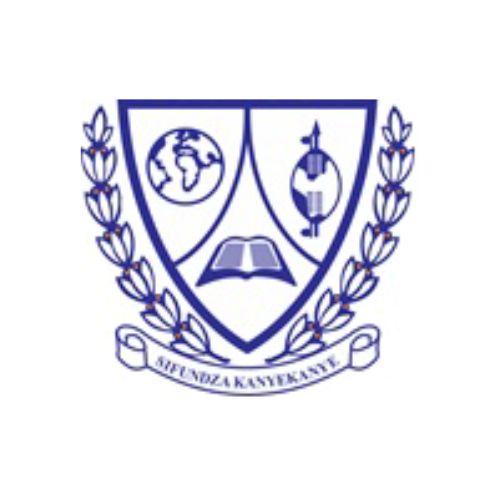 Eswatini Investment logo